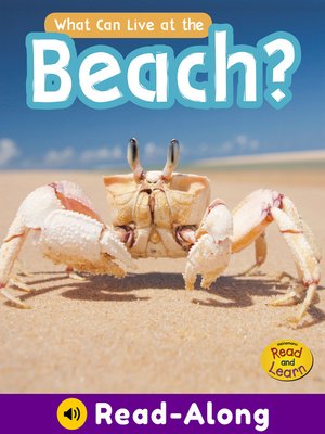 cover image of What Can Live at the Beach?